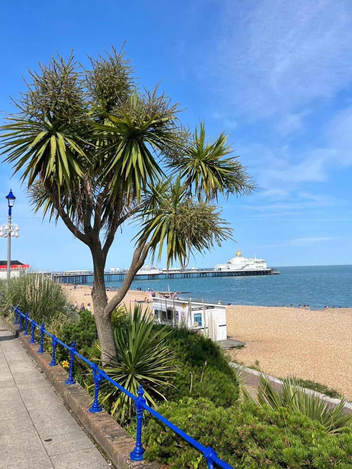 "The Parlour" Seafront Apartment Tournoi d'Tournoi d'Eastbourne Extérieur photo
