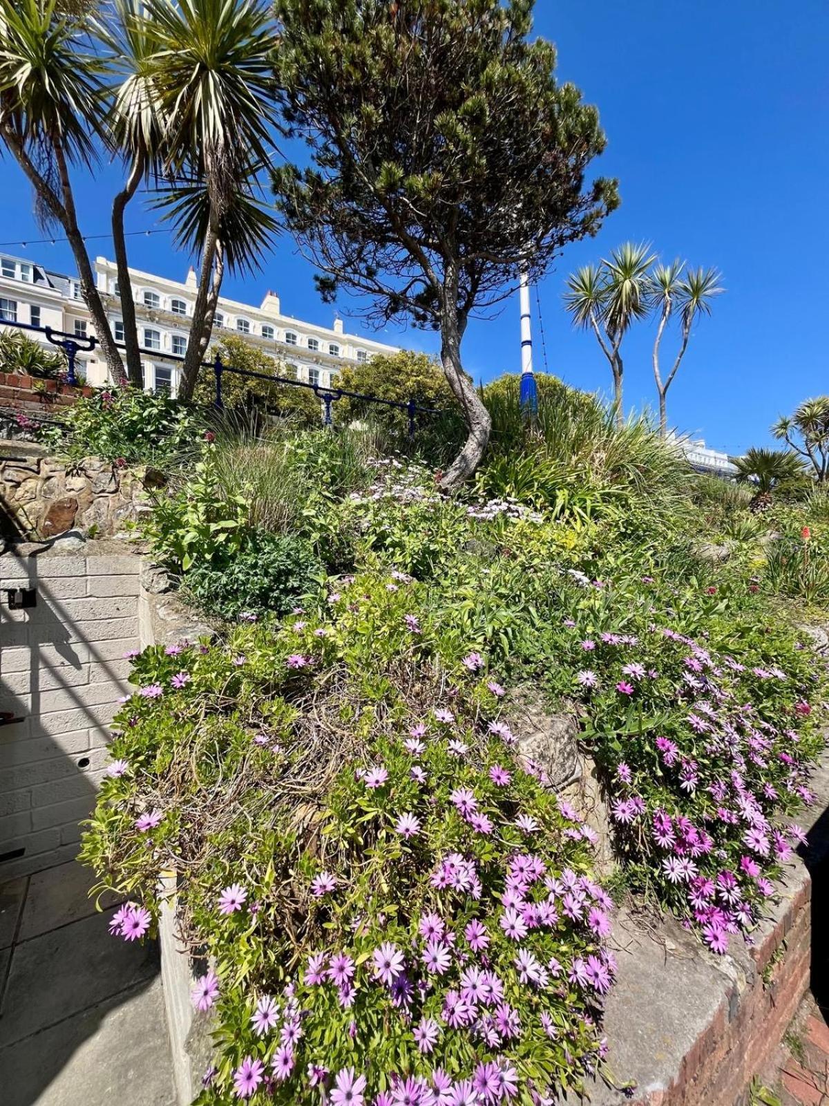 "The Parlour" Seafront Apartment Tournoi d'Tournoi d'Eastbourne Extérieur photo